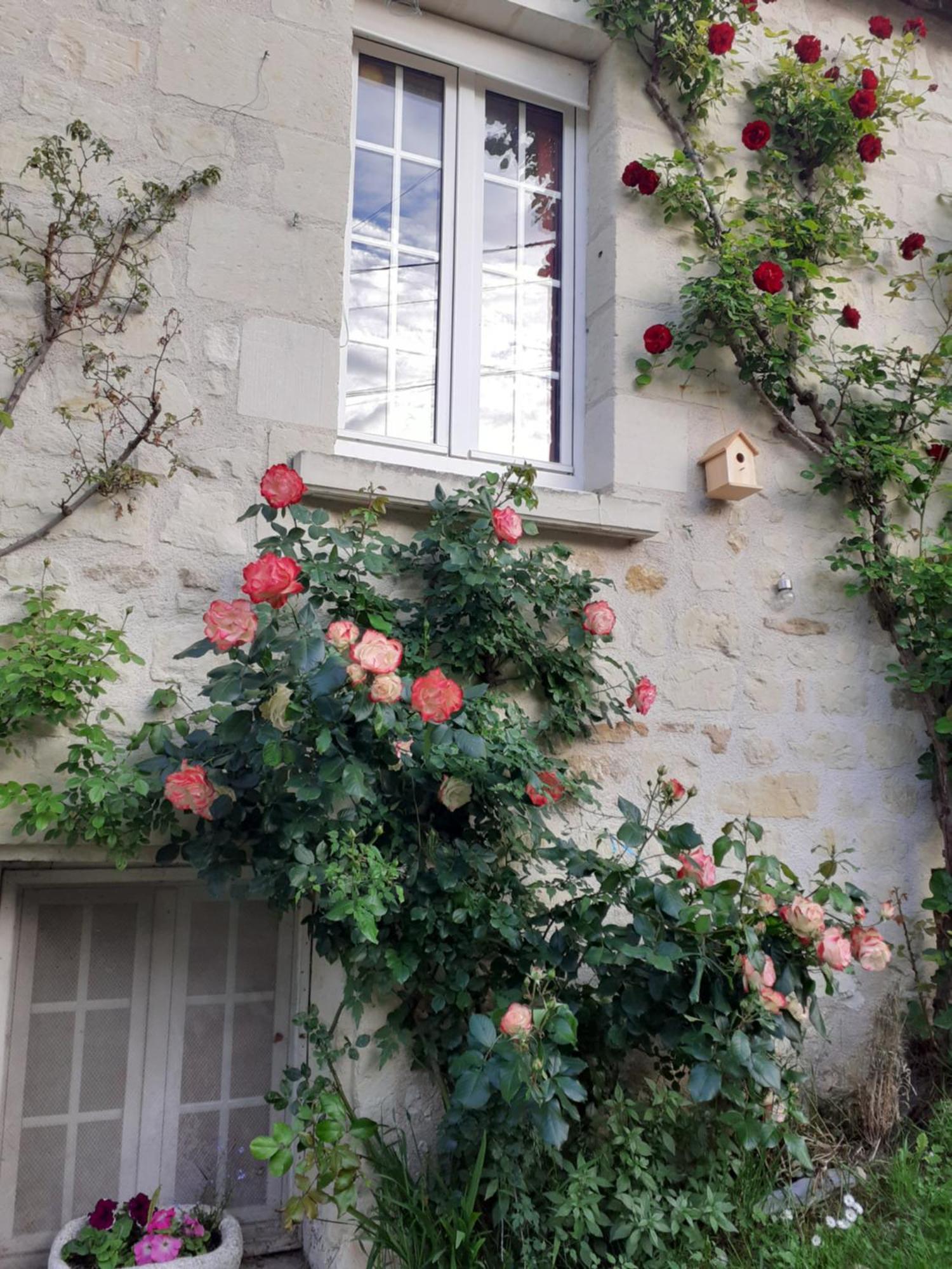 Esprit Troglo Villa Beaumont-en-Veron Exterior photo